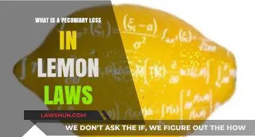 Understanding Pecuniary Loss in Lemon Laws: A Comprehensive Guide