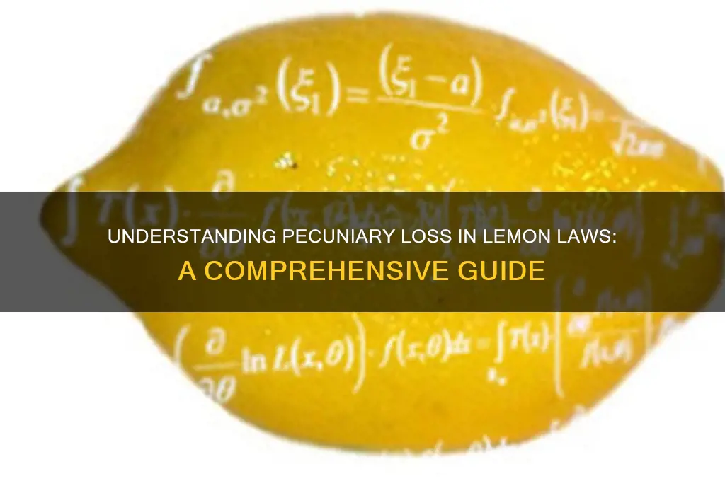 what is a pecuniary loss in lemon laws