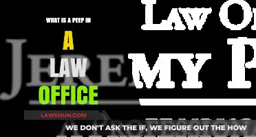 Understanding the Role of a Peep in a Law Office