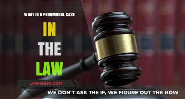 Penumbral Law Cases: Rights in the Shadows