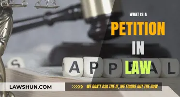 Understanding Petitions in Law: A Comprehensive Guide