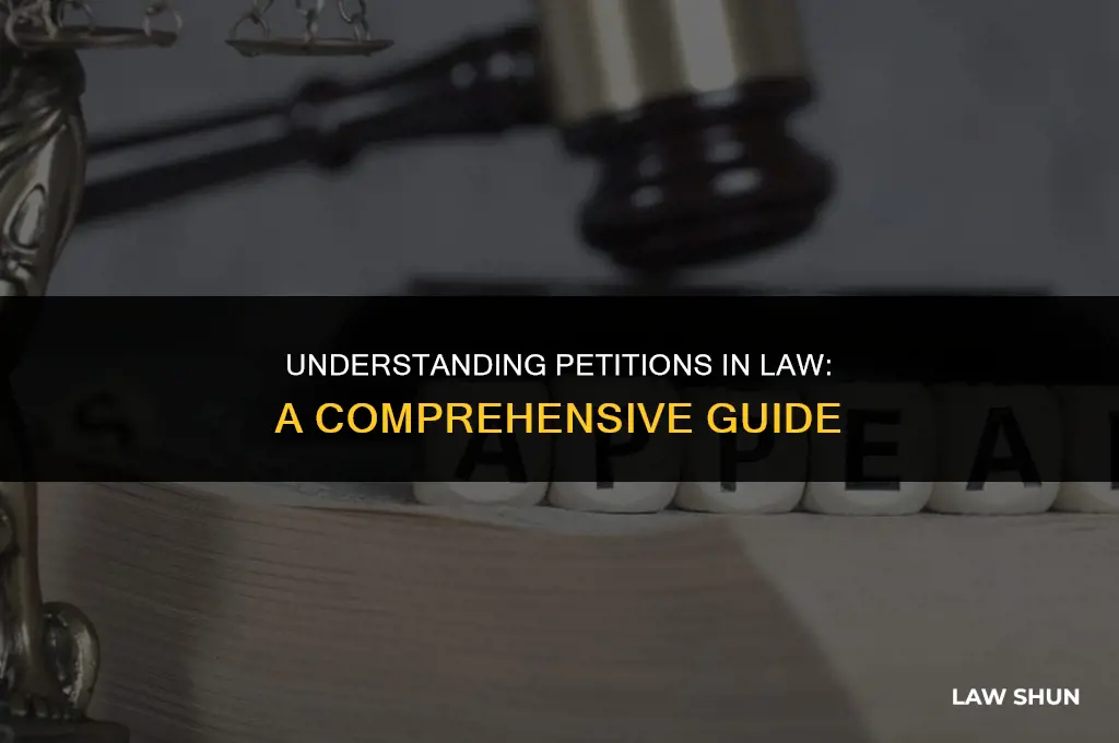 what is a petition in law