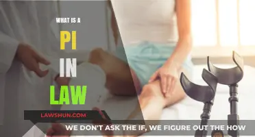 Understanding the Role of Pi in Legal Matters: A Comprehensive Guide