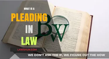 Understanding Pleadings in Law: A Comprehensive Guide