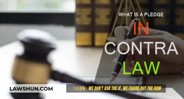 Contract Law: Understanding Pledges and Their Significance