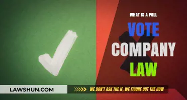 Understanding Poll Vote Company Law: Key Principles and Applications