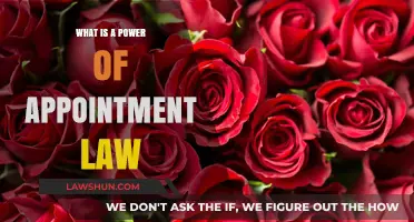 Understanding Power of Appointment Law: Key Concepts and Legal Implications