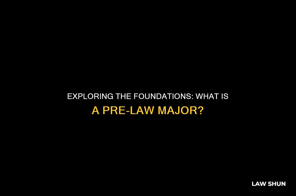 what is a pre law major
