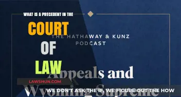 Understanding Legal Precedents: How Court Decisions Shape Future Cases