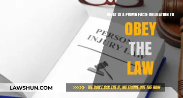 Understanding the Prima Facie Obligation to Obey the Law