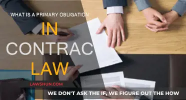 Understanding Primary Obligations in Contract Law