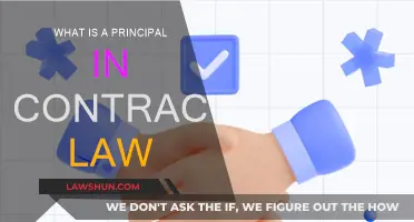 Understanding Principals in Contract Law