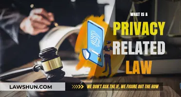 Understanding Privacy Laws: Protecting Personal Data and Individual Rights