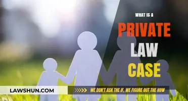 Understanding Private Law Cases: What You Need to Know