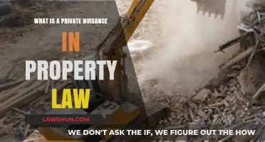 Understanding Private Nuisance: Key Concepts in Property Law Explained