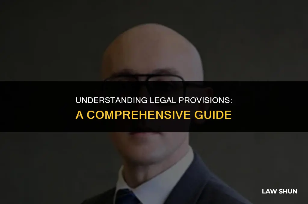 what is a provision in law