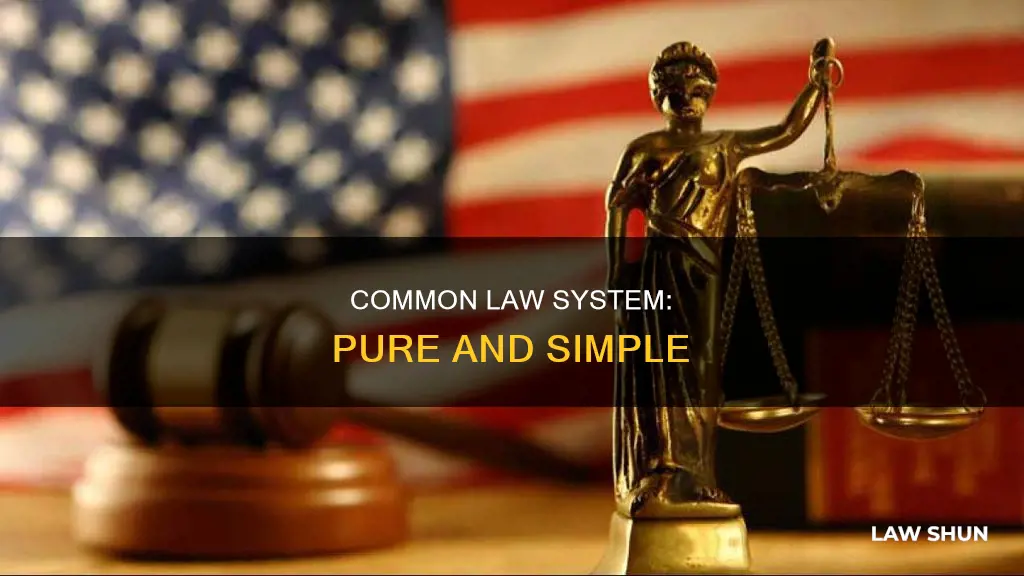 what is a pure common law system
