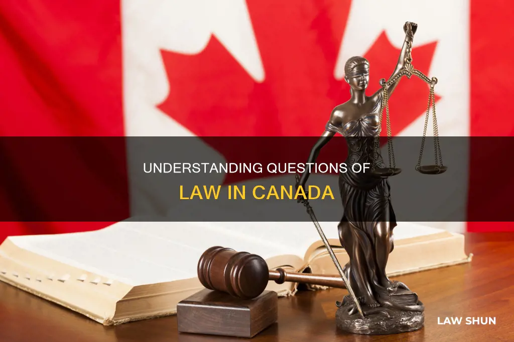 what is a question of law canada