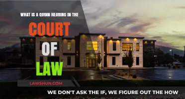 Understanding Quinn Hearings: Legal Procedures and Implications in Court
