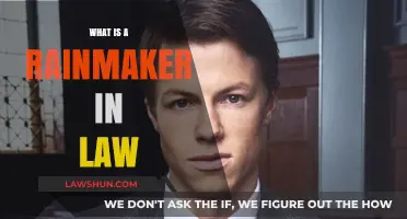 Decoding the Role of a Rainmaker in the Legal Profession