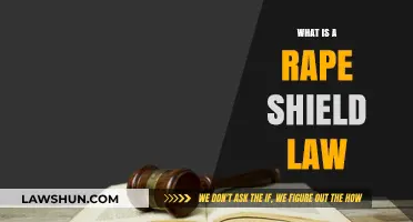 Understanding Rape Shield Laws: Protecting Survivors' Rights in Court