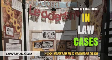 Exhibits in Law: What Counts as Real Evidence?
