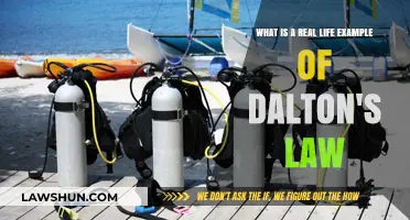 Real-Life Applications of Dalton's Law: Breathing Air in Scuba Diving