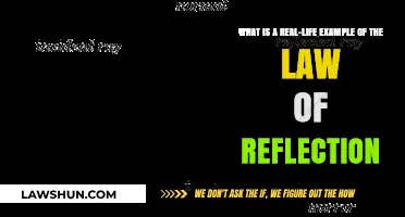 Real-Life Reflection: Mirrors, Light, and Everyday Examples Explained