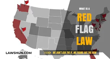 Understanding Red Flag Laws: A Comprehensive Guide to Gun Control Measures