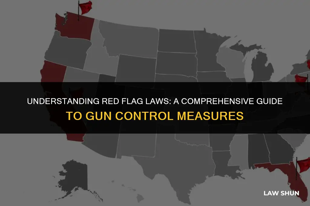 what is a red flag law
