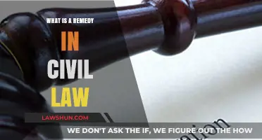Understanding Remedies in Civil Law: Types, Purposes, and Applications