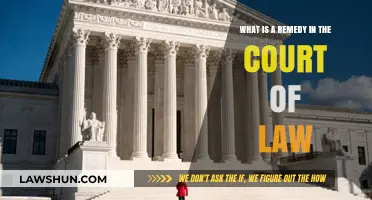 Understanding Legal Remedies: Court-Ordered Solutions for Justice and Relief