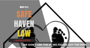 Understanding Safe Haven Laws: Protecting Children in Crisis