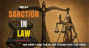 Understanding Sanctions in Law: A Comprehensive Guide