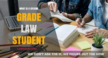 Understanding the Role and Journey of a Second-Year Law Student