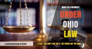 Understanding Securities Under Ohio Law: Definitions, Regulations, and Compliance