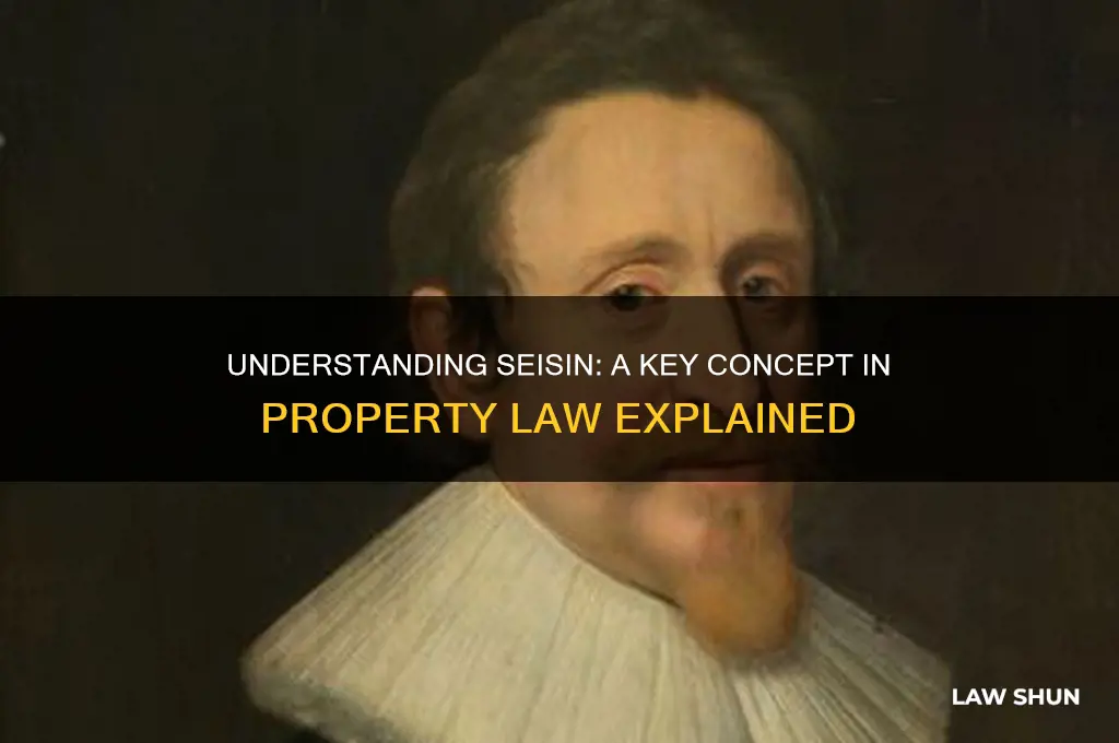 what is a seisin in property law