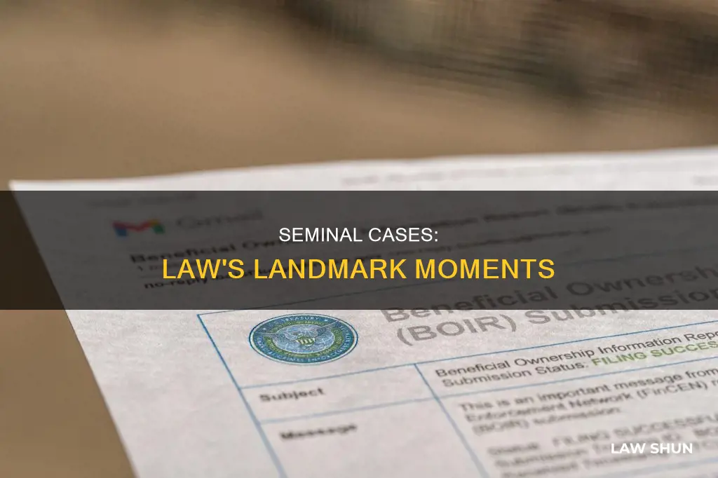 what is a seminal case in law