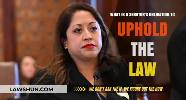 Upholding Justice: A Senator's Legal and Ethical Obligations Explained