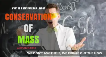 Understanding the Law of Conservation of Mass: A Simple Sentence Explained