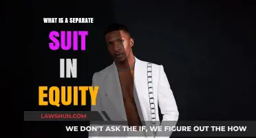 Understanding Separate Suits in Equity: Legal Principles and Applications