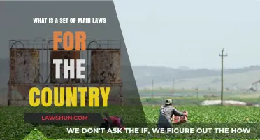 Understanding the Core Legal Framework: A Country's Fundamental Laws Explained