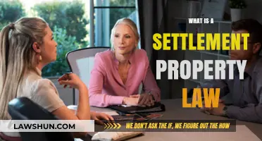 Understanding Settlement Property Law: Key Concepts and Legal Implications