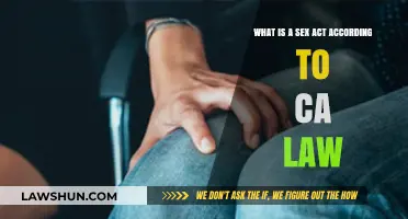 Understanding Sex Acts: Legal Definitions and Implications Under California Law