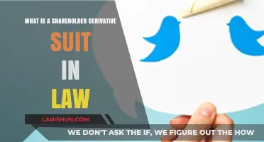 Understanding Shareholder Derivative Suits: Legal Actions Explained