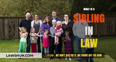 Understanding Sibling-in-Law Dynamics: A Guide to Family Relationships