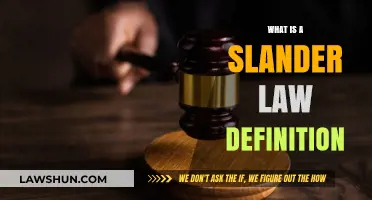 Understanding Slander Law: Definition, Consequences, and Legal Protections