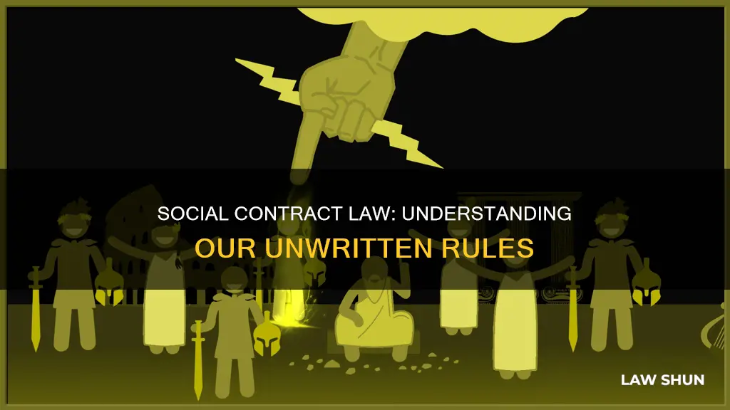 what is a social contract in law