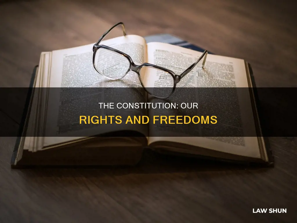 what is a statement about constitutional law