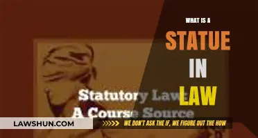 Understanding Statutory Law: A Comprehensive Guide to Legal Statutes